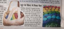 Jijiwisha Diya Coverage in Navbharat Times